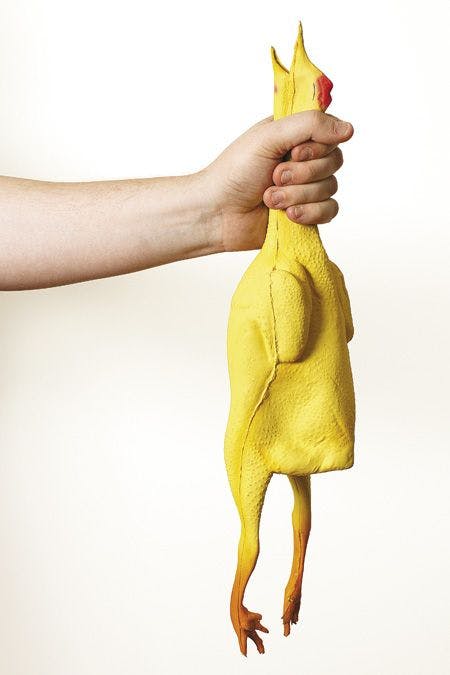 veterinary-image-of-a-rubber-chicken-being-choked-metaphor-for-male-self-gratification-53233651_450px.jpg