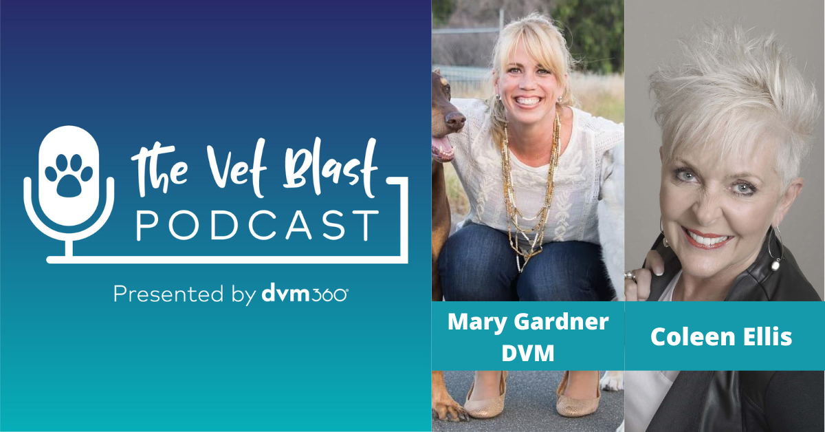 The Vet Blast Podcast with Kelly Cairns