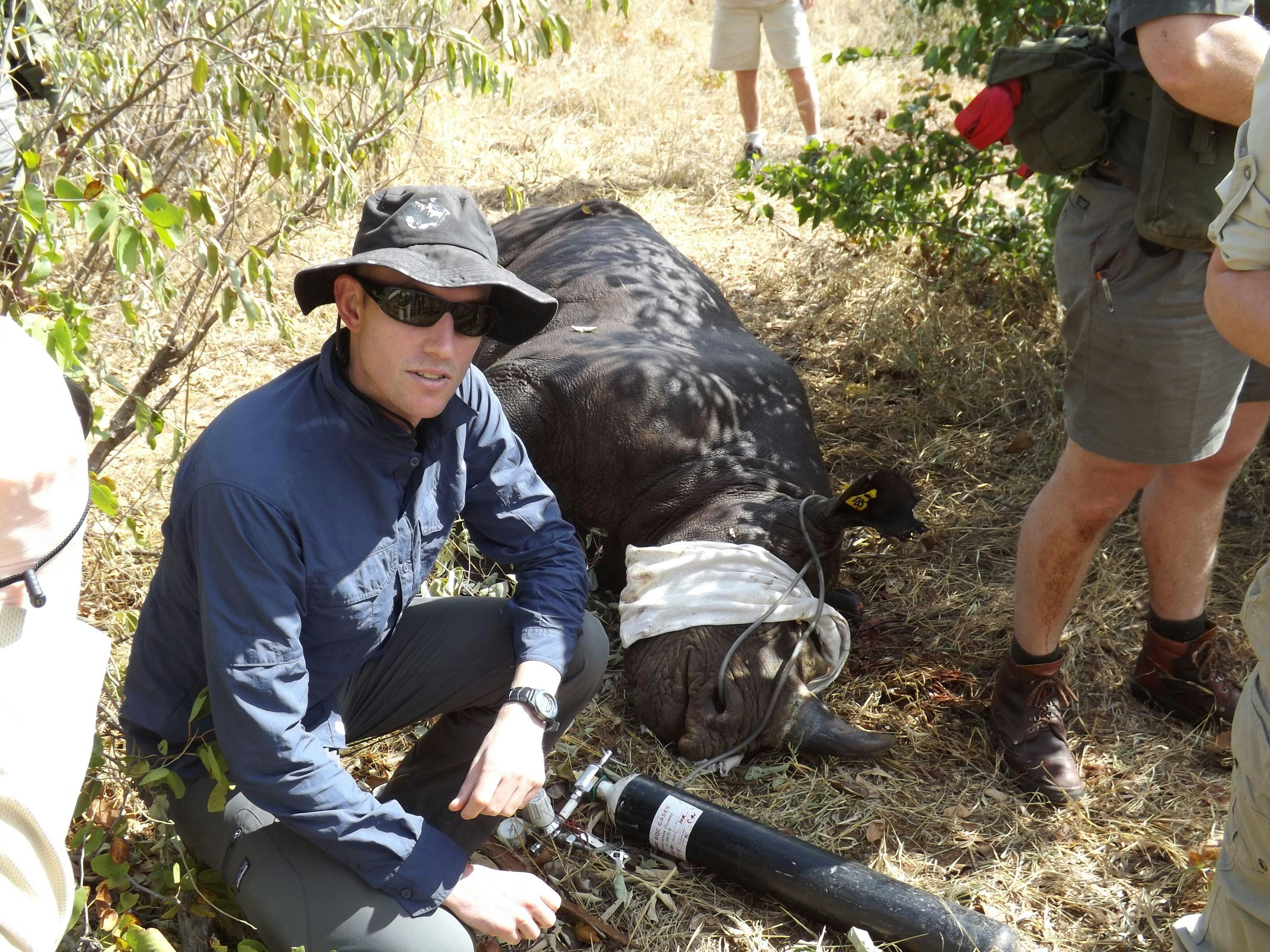 Cameron Murray, BSc, BVMS, working with wildlife in Africa (Image Courtesy of Cameron Murray)