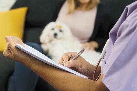 veterinary-young-latina-woman-working-as-veterinary-vet-talking-to-dog-owner-during-house-call-animal-doctor-writing-note-for-pet-prescription-medicine-at-home-close-up-of-hand-holding-pen-450px-shutterstock-747311668.jpg