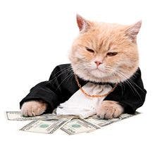 veterinary-Red-cat-sitting-on-the-dollar,-Christmas_220px_119766415.jpg