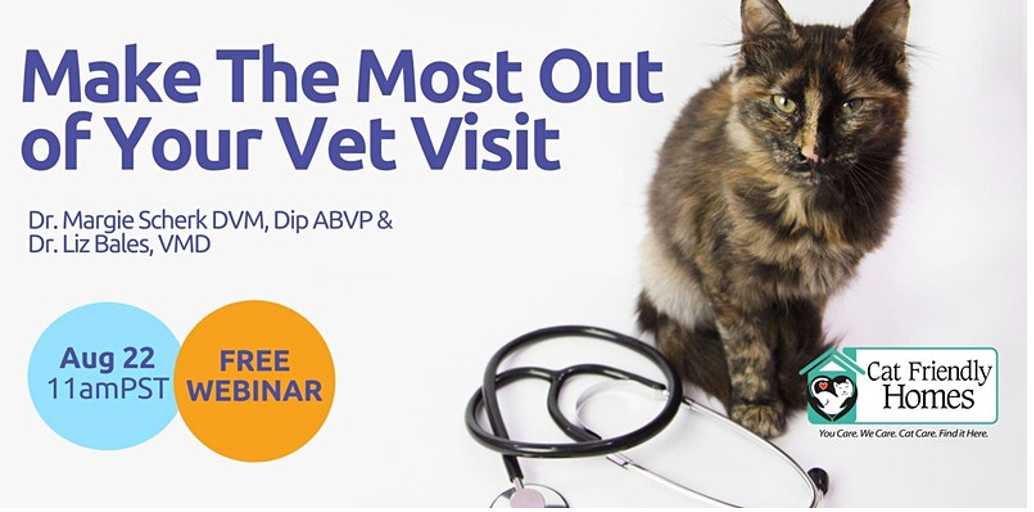 Basepaws, AVFP launch awareness campaign for feline preventive veterinary care