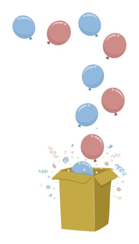 veterinary-illustration-of-a-gender-reveal-party-using-a-box-filled-with-blue-and-pink-balloons-450px-shutterstock-241406458.jpg
