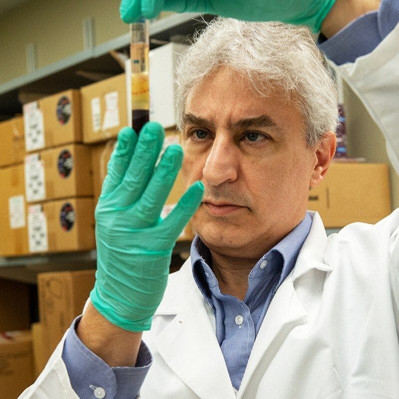Jaime Modiano, VMD, PhD, analyzes a sample in the Masonic Cancer Center at the University of Minnesota. (Photo courtesy of Morris Animal Foundation)