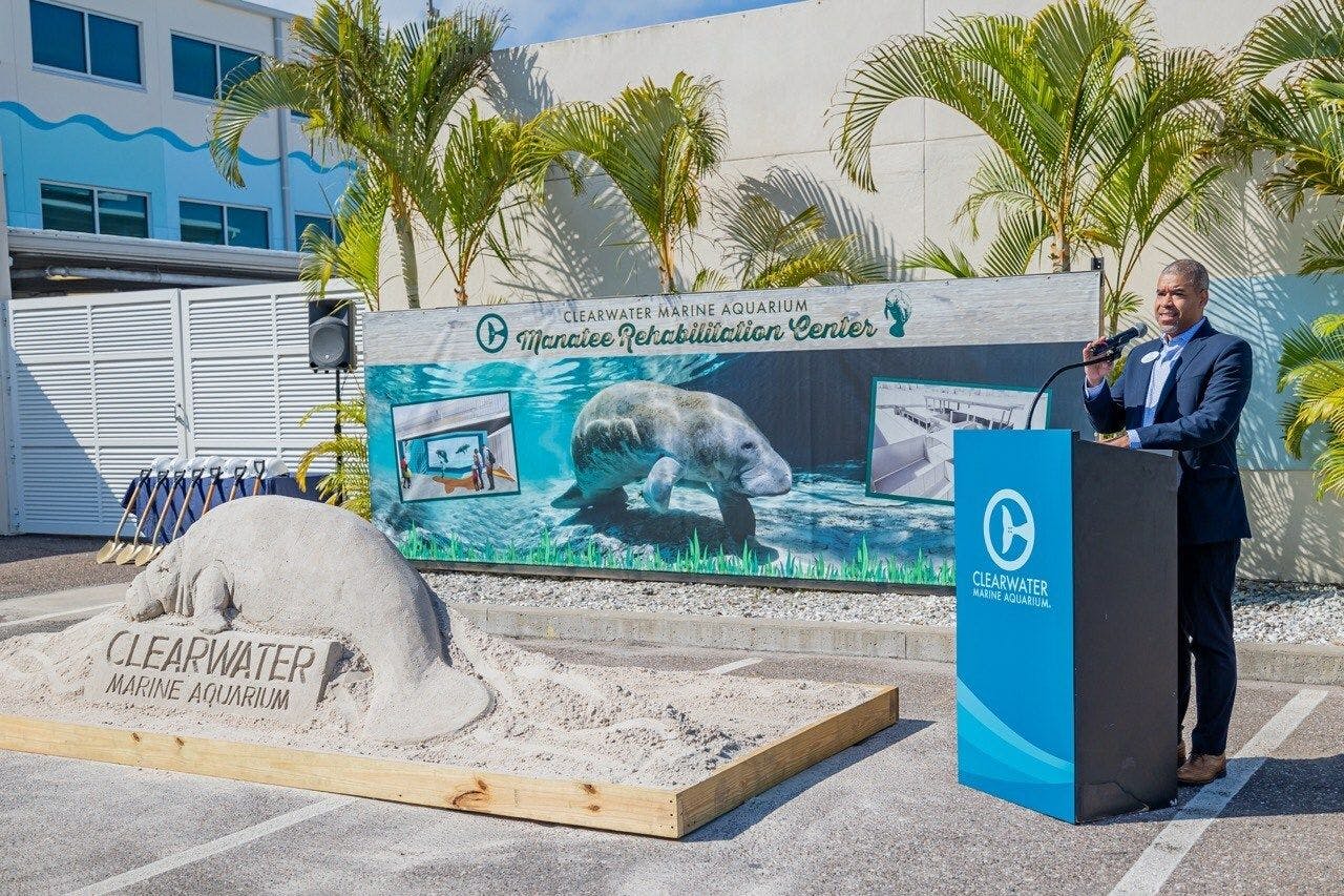Clearwater Marine Aquarium breaks ground on Manatee Rehabilitation Center 