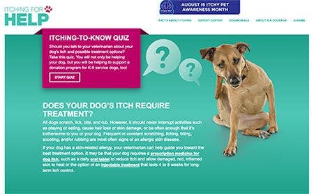 veterinary-zoetis-itch-awareness-month-page-4501564685029902.jpg