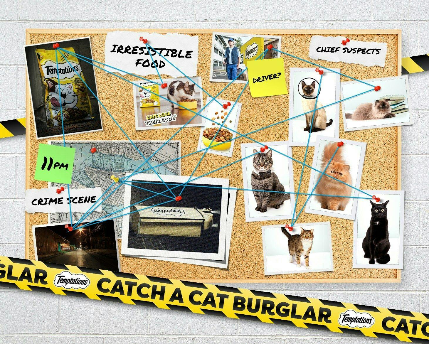 New ‘true’ crime podcast aims to catch purrpetrator