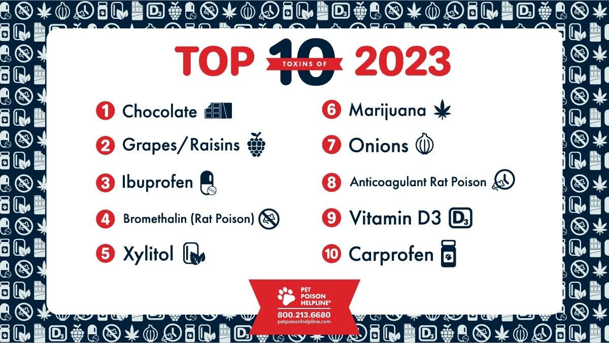 Top 10 Pet Poisons 2023