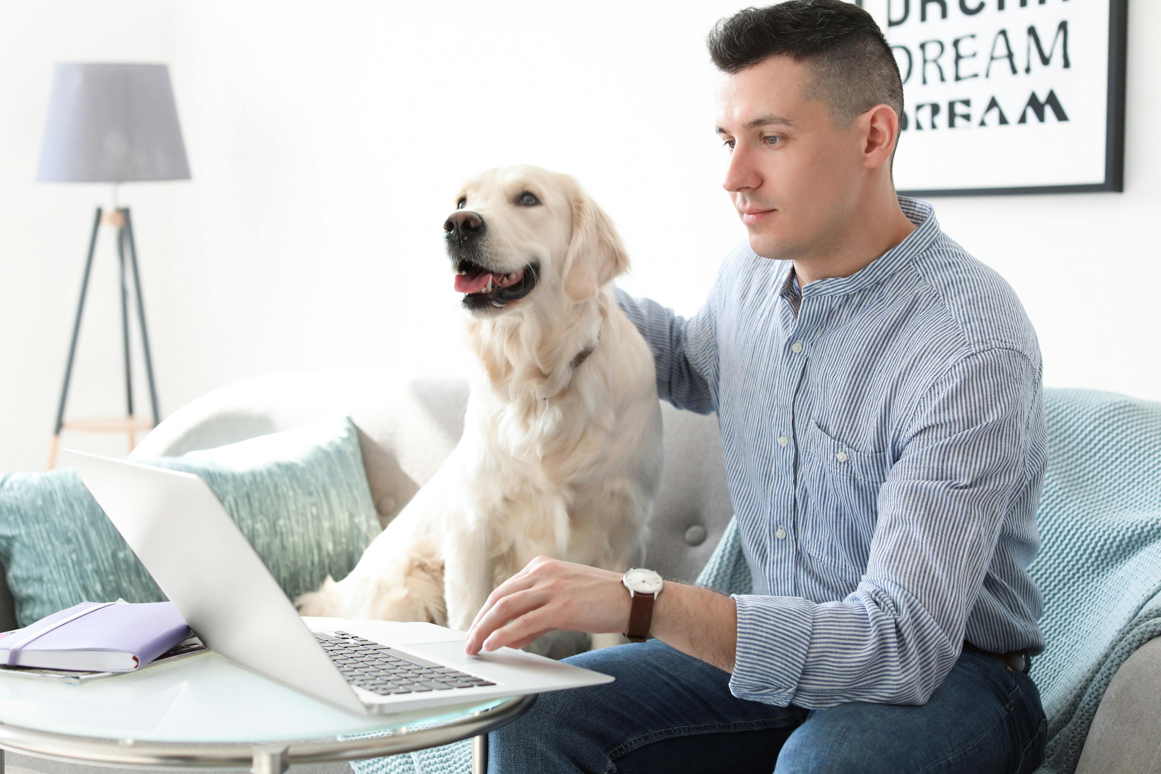 man with dog on computer